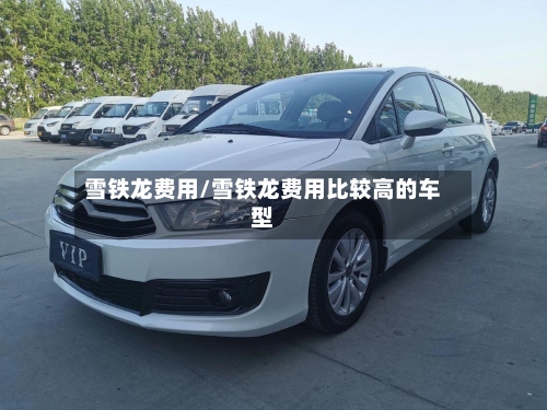 雪铁龙费用/雪铁龙费用比较高的车型-第3张图片