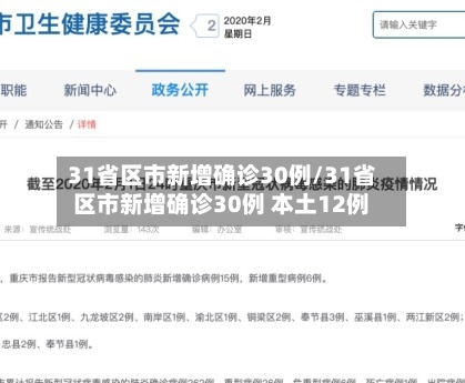31省区市新增确诊30例/31省区市新增确诊30例 本土12例