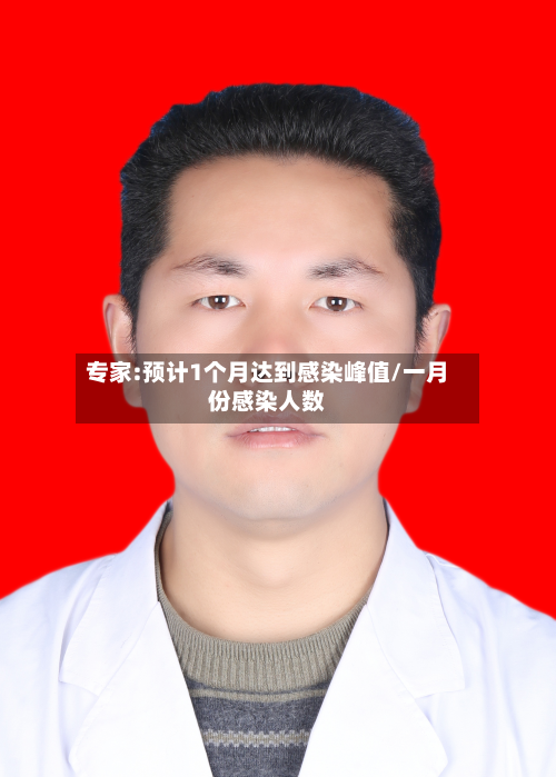 专家:预计1个月达到感染峰值/一月份感染人数