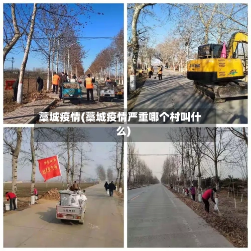藁城疫情(藁城疫情严重哪个村叫什么)