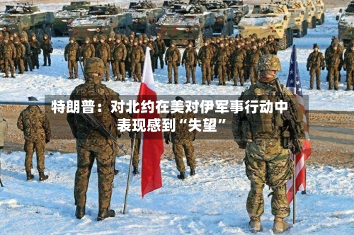 特朗普：对北约在美对伊军事行动中表现感到“失望	”-第3张图片