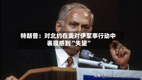 特朗普：对北约在美对伊军事行动中表现感到“失望”-第2张图片