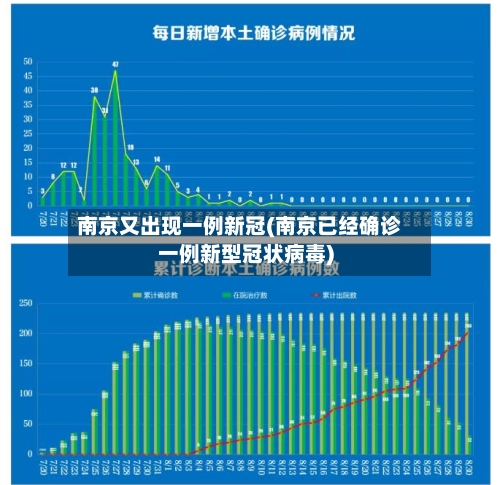 南京又出现一例新冠(南京已经确诊一例新型冠状病毒)