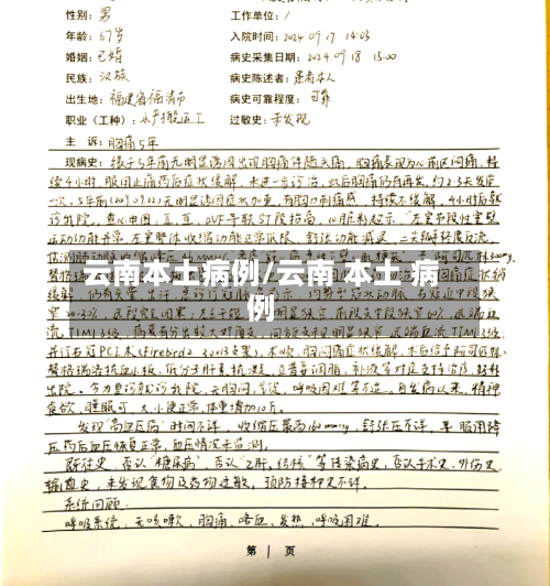 云南本土病例/云南 本土 病例