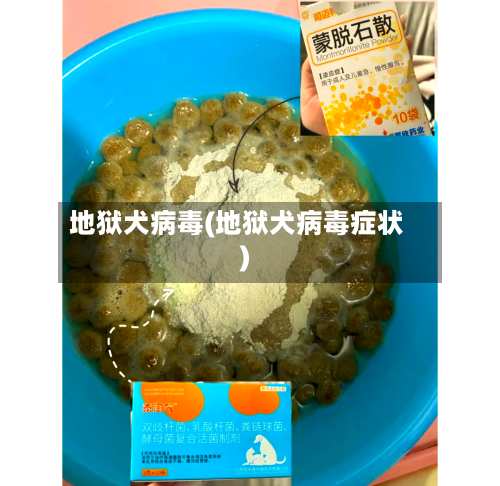 地狱犬病毒(地狱犬病毒症状)