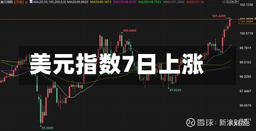 美元指数7日上涨-第2张图片