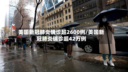 美国新冠肺炎确诊超2600例/美国新冠肺炎确诊超42万例-第3张图片