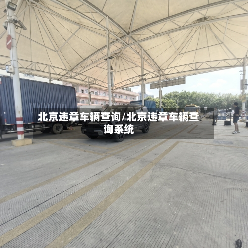 北京违章车辆查询/北京违章车辆查询系统