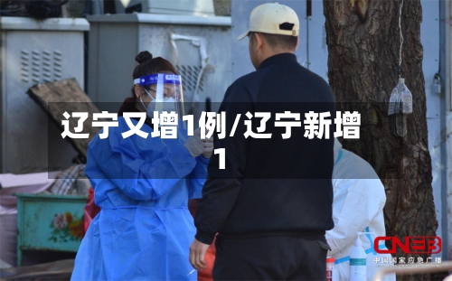 辽宁又增1例/辽宁新增1-第2张图片