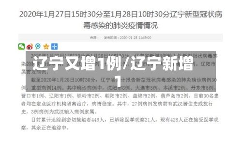 辽宁又增1例/辽宁新增1