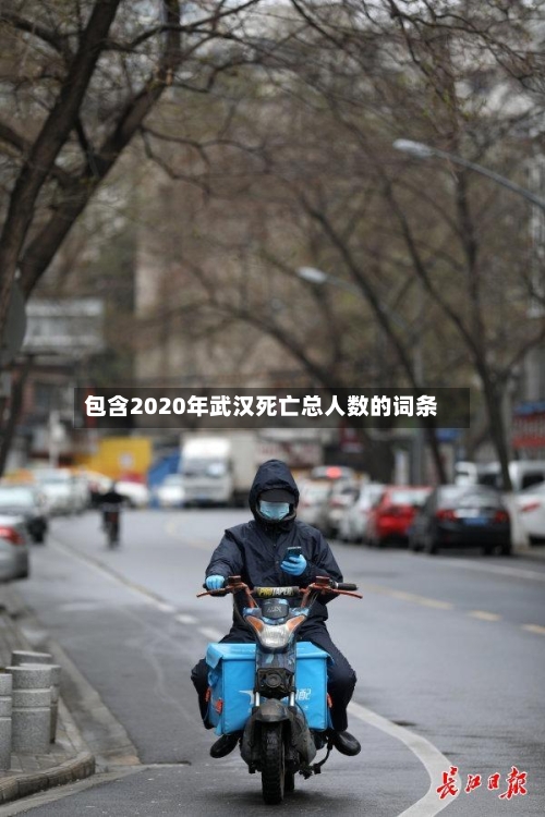 包含2020年武汉死亡总人数的词条