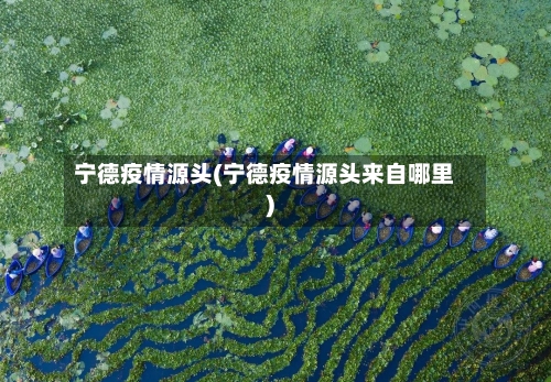 宁德疫情源头(宁德疫情源头来自哪里)