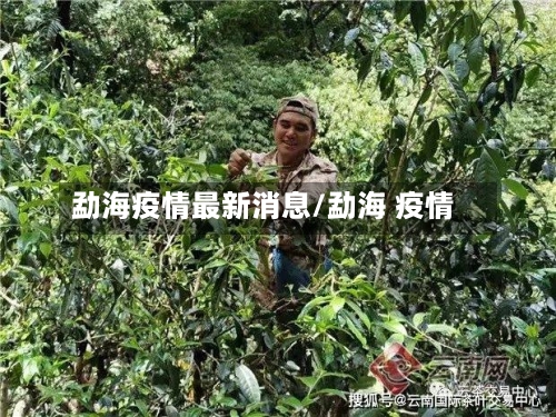 勐海疫情最新消息/勐海 疫情-第3张图片