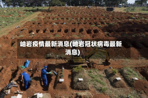 岫岩疫情最新消息(岫岩冠状病毒最新消息)-第3张图片