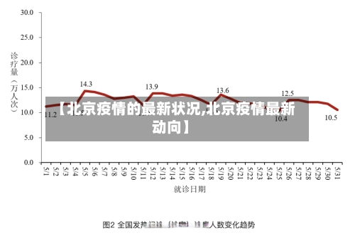 【北京疫情的最新状况,北京疫情最新动向】-第2张图片