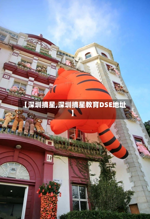 【深圳摘星,深圳摘星教育DSE地址】-第3张图片