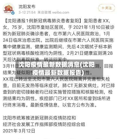 沈阳疫情最新数据消息(沈阳疫情最新数据报告)-第2张图片