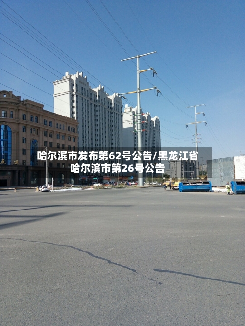 哈尔滨市发布第62号公告/黑龙江省哈尔滨市第26号公告-第2张图片