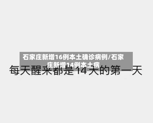 石家庄新增16例本土确诊病例/石家庄新增14例本土病