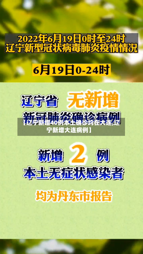 【辽宁新增40例本土确诊均在大连,辽宁新增大连病例】-第2张图片