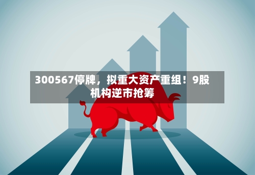300567停牌	，拟重大资产重组！9股机构逆市抢筹-第3张图片