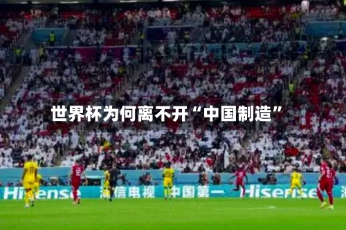 世界杯为何离不开“中国制造”-第2张图片