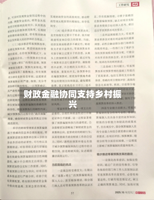 财政金融协同支持乡村振兴