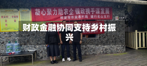 财政金融协同支持乡村振兴-第2张图片