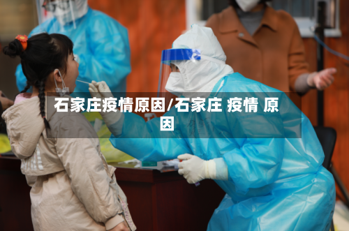 石家庄疫情原因/石家庄 疫情 原因