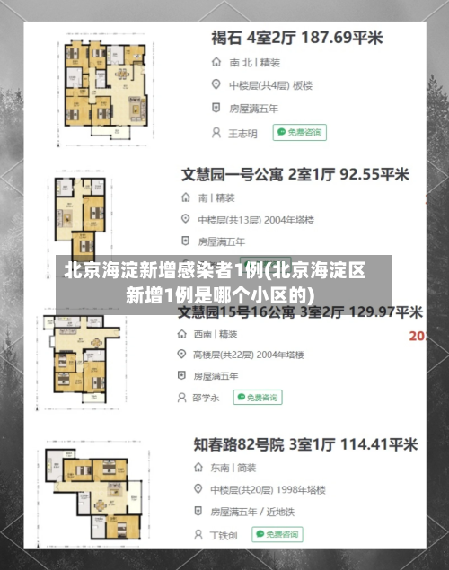北京海淀新增感染者1例(北京海淀区新增1例是哪个小区的)-第3张图片