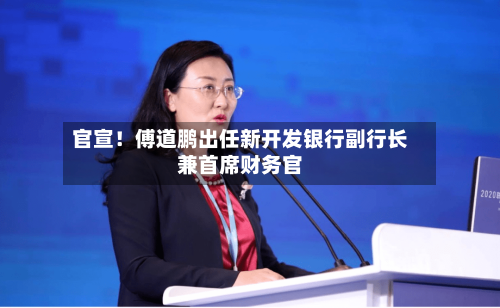 官宣!傅道鹏出任新开发银行副行长兼首席财务官-第2张图片