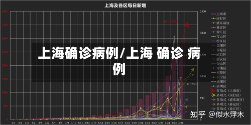 上海确诊病例/上海 确诊 病例-第3张图片