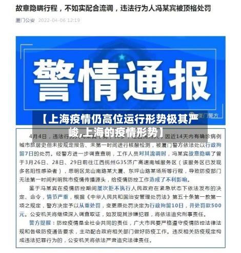 【上海疫情仍高位运行形势极其严峻,上海的疫情形势】-第3张图片
