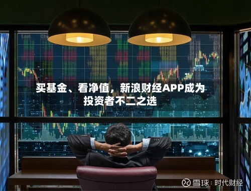 买基金	、看净值	，新浪财经APP成为投资者不二之选-第3张图片