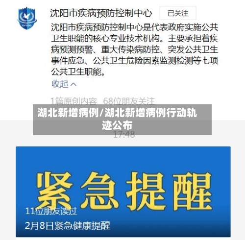 湖北新增病例/湖北新增病例行动轨迹公布-第2张图片