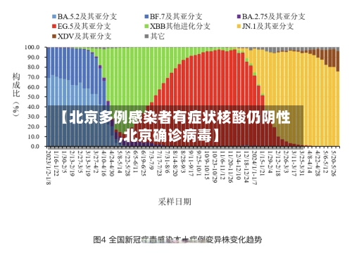 【北京多例感染者有症状核酸仍阴性,北京确诊病毒】-第3张图片