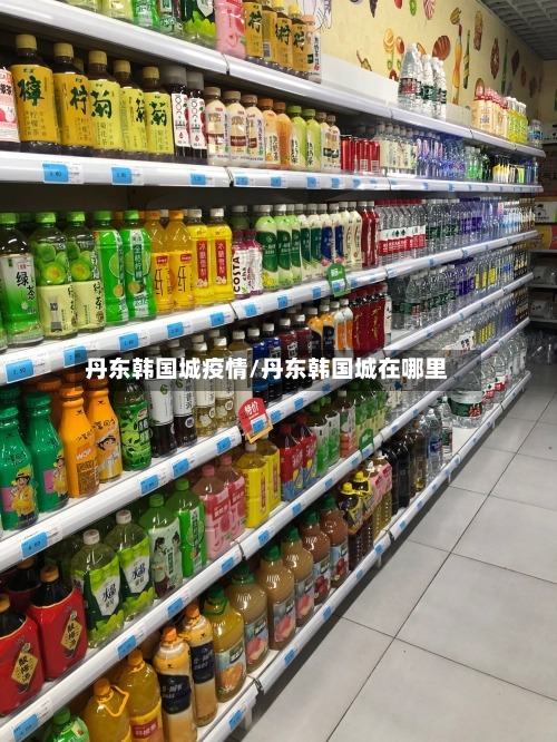 丹东韩国城疫情/丹东韩国城在哪里