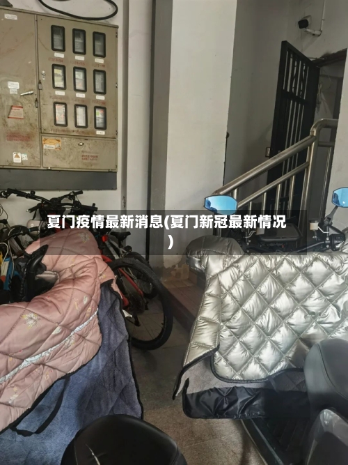 夏门疫情最新消息(夏门新冠最新情况)-第2张图片