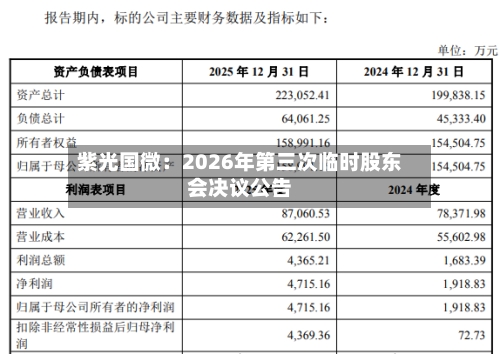紫光国微：2026年第三次临时股东会决议公告