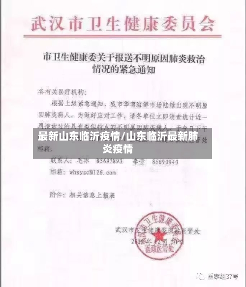 最新山东临沂疫情/山东临沂最新肺炎疫情-第2张图片