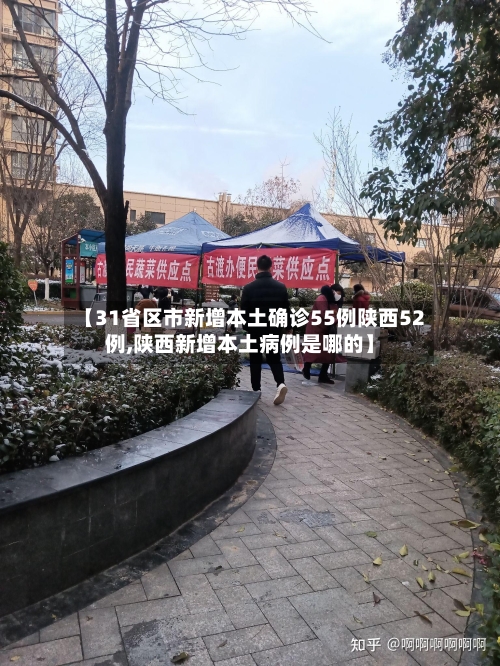 【31省区市新增本土确诊55例陕西52例,陕西新增本土病例是哪的】