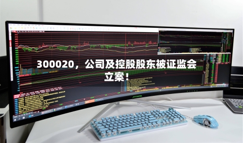 300020，公司及控股股东被证监会立案！