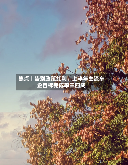 焦点｜告别政策红利，上半年主流车企目标完成率三四成