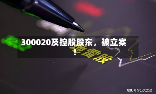 300020及控股股东，被立案！-第2张图片