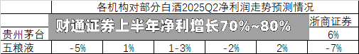 财通证券上半年净利增长70%~80%-第2张图片