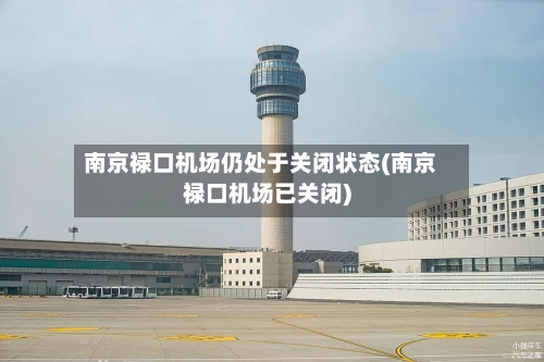 南京禄口机场仍处于关闭状态(南京禄口机场已关闭)-第2张图片