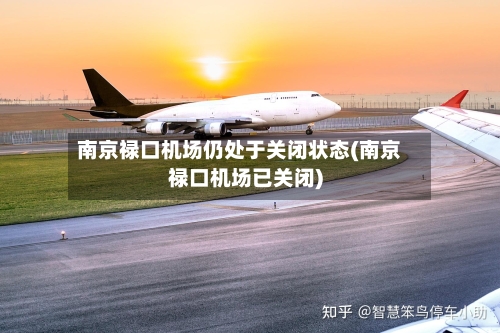 南京禄口机场仍处于关闭状态(南京禄口机场已关闭)-第3张图片