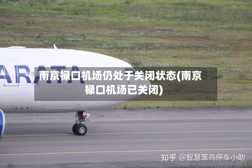 南京禄口机场仍处于关闭状态(南京禄口机场已关闭)