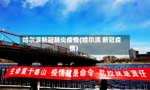 哈尔滨新冠肺炎疫情(哈尔滨 新冠疫情)-第3张图片