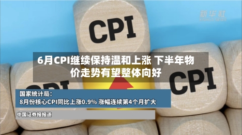 6月CPI继续保持温和上涨 下半年物价走势有望整体向好-第3张图片